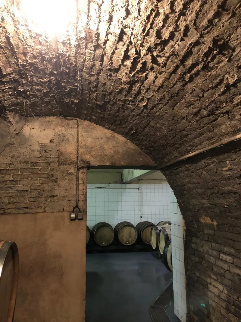 Espace de la cave avant travaux – projet Filtrer, Sacy, Marne, FAIRE Architecte