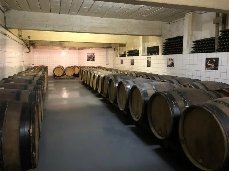 Stockage et chais à fûts de la cave avant travaux – projet Filtrer, Sacy, Marne, FAIRE Architecte