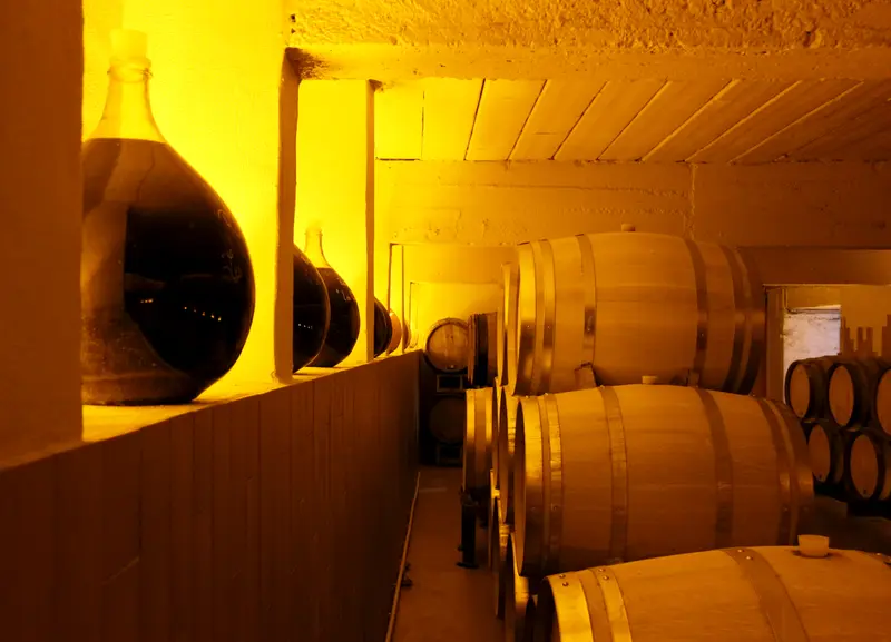 Intérieur de la cave de vieillissement rénovée – projet Filtrer, Sacy, Marne, FAIRE Architecte
